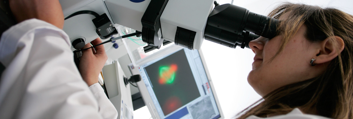 Laboratorio: una investigadora observa una muestra al microscopio