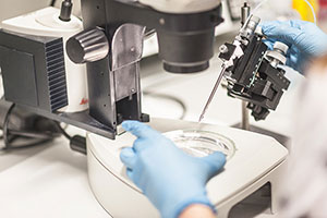 Equipamiento Científico-Tecnológico